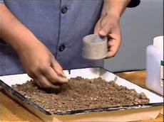 Drying Oven
